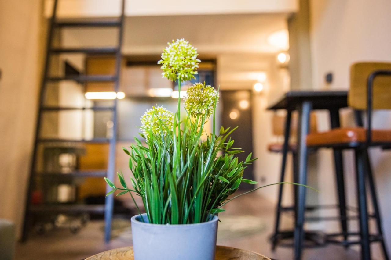 Urbanjungle - Your Trendy Loft In Apartamento Budapeste